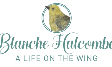 Halcombe banner.jpg