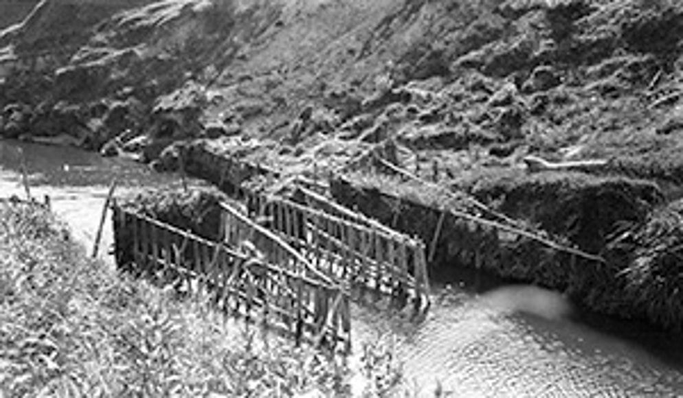 (IMAGE 2) Pā Tuna, Eel Weir, Manawapou River, South Taranaki, 1930S. Photographer Olive Houston. PHO2009 353